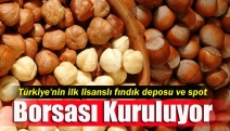 Türkiye'nin ilk lisanslı fındık deposu ve spot borsası kuruluyor