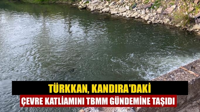 Türkkan, Kandıra'daki çevre katliamını TBMM gündemine taşıdı