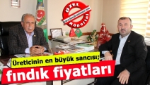 Üreticinin en büyük sancısı; fındık fiyatları