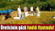 Üreticinin gözü fındık fiyatında!