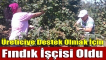 Üreticiye destek olmak için fındık işçisi oldu