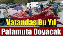 Vatandaş bu yıl palamuta doyacak