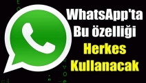 WhatsApp'ta bu özelliği herkes kullanacak