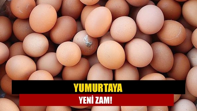 Yumurtaya yeni zam!