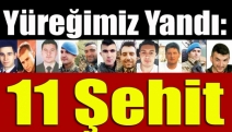 Yüreğimiz yandı: 11 Şehit
