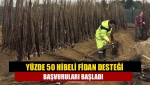 Yüzde 50 hibeli fidan desteği başvuruları başladı