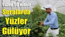 Yüzde 50 hibeli seralarda yüzler gülüyor