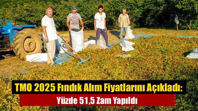 TMO 2025 Fındık Alım Fiyatlarını Açıkladı: Yüzde 51,5 Zam Yapıldı
