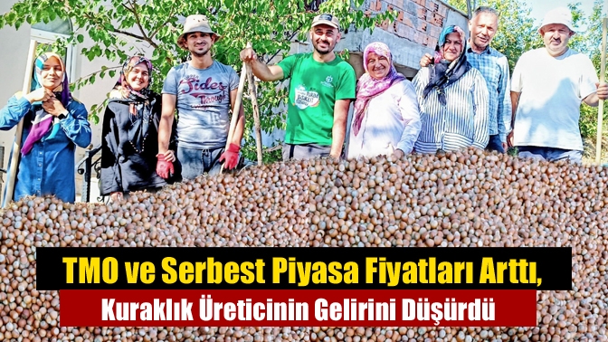 TMO ve Serbest Piyasa Fiyatları Arttı, Kuraklık Üreticinin Gelirini Düşürdü
