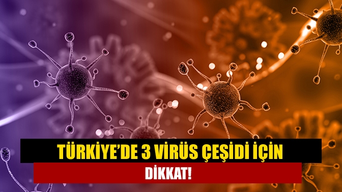 Türkiye’de 3 virüs çeşidi için dikkat!