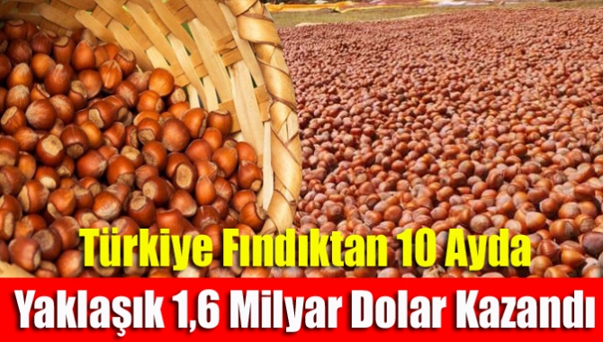 Türkiye fındıktan 10 ayda yaklaşık 1,6 milyar dolar kazandı