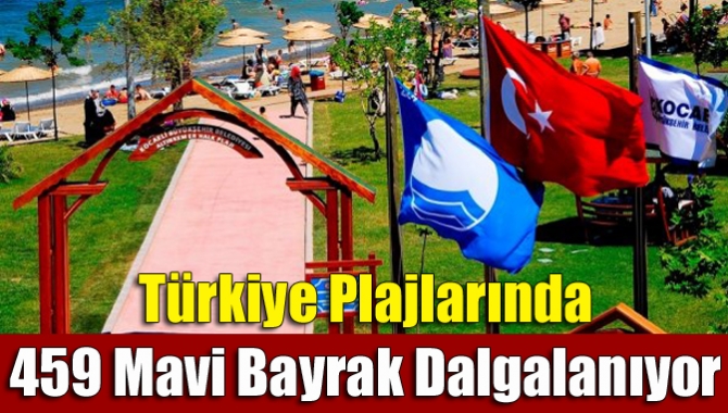 Türkiye plajlarında 459 mavi bayrak dalgalanıyor