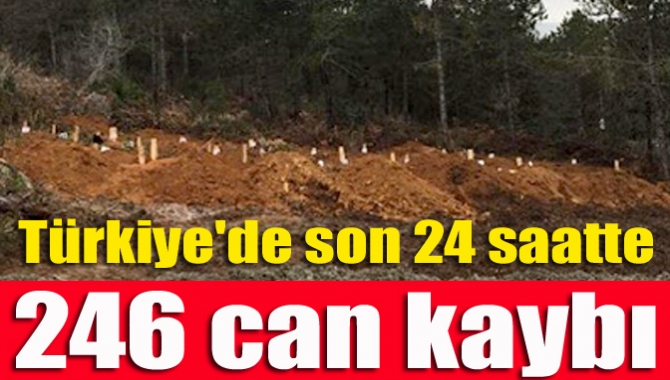 Türkiye'de son 24 saatte 246 can kaybı