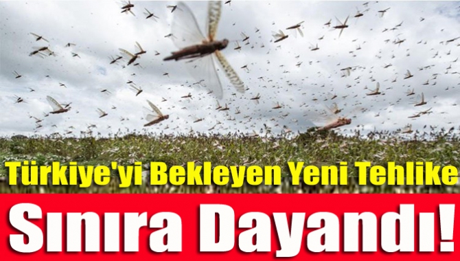 Türkiye'yi bekleyen yeni tehlike sınıra dayandı!