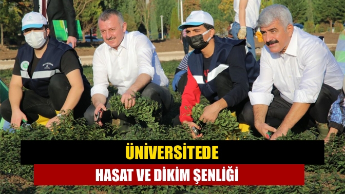 Üniversitede hasat ve dikim şenliği