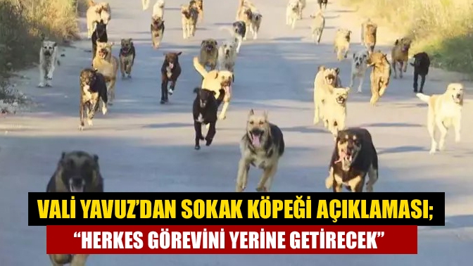 Vali Yavuz’dan sokak köpeği açıklaması; “Herkes görevini yerine getirecek”