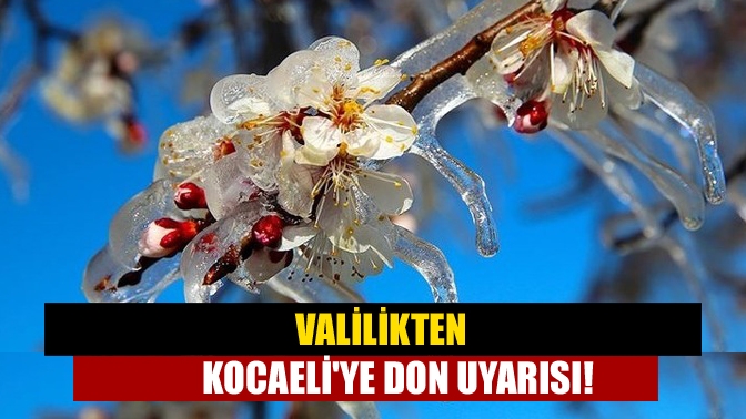 Valilikten Kocaeliye Don Uyarısı!