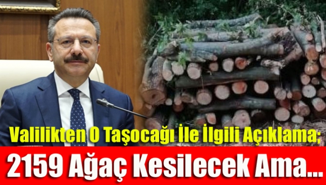 Valilikten o taşocağı ile ilgili açıklama; 2159 ağaç kesilecek ama…