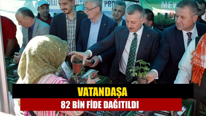 Vatandaşa 82 bin fide dağıtıldı