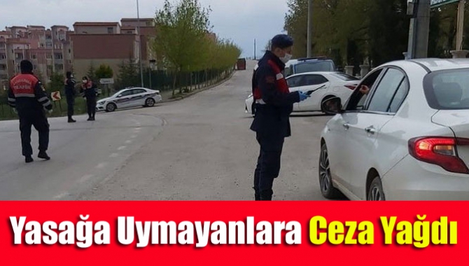 Yasağa uymayanlara ceza yağdı