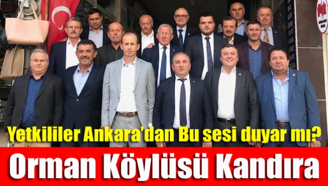 Yetkililer Ankara’dan Bu sesi duyar mı? Orman Köylüsü Kandıra