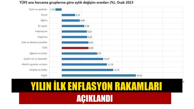 Yılın ilk enflasyon rakamları açıklandı