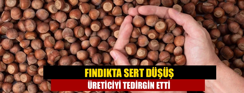 Fındıkta Sert Düşüş Üreticiyi Tedirgin Etti