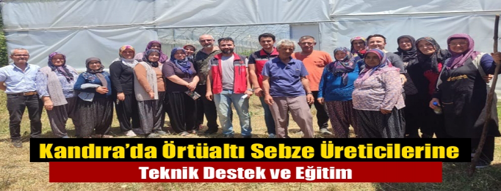 Kandıra’da Örtüaltı Sebze Üreticilerine Teknik Destek ve Eğitim