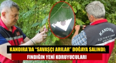 Kandıra’da “Savaşçı Arılar” Doğaya Salındı: Fındığın Yeni Koruyucuları
