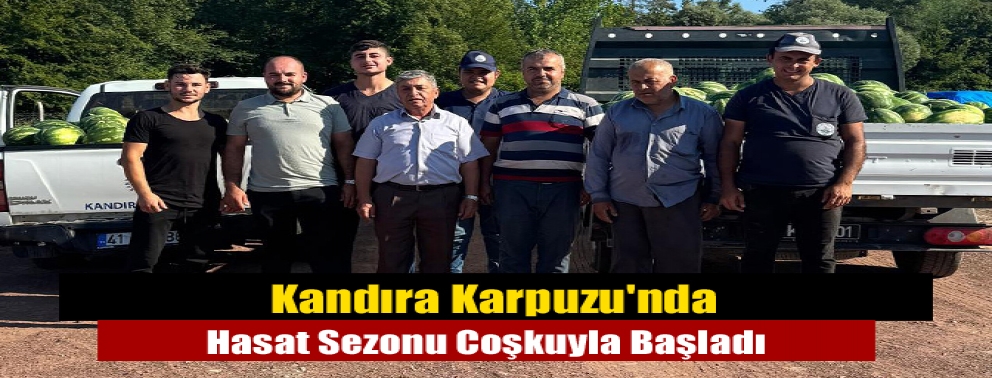 Kandıra Karpuzu'nda Hasat Sezonu Coşkuyla Başladı