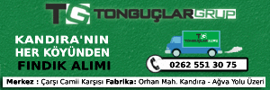 Tonguc Mobil